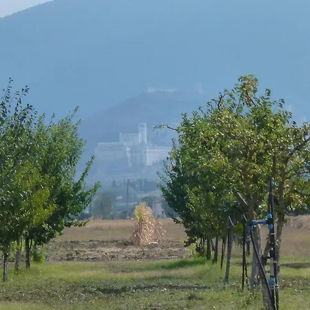 Hotel Campiglione 3*