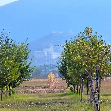 Campiglione Otel