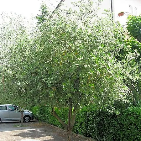 Campiglione 3*