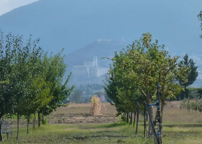 Hotel Campiglione 3*