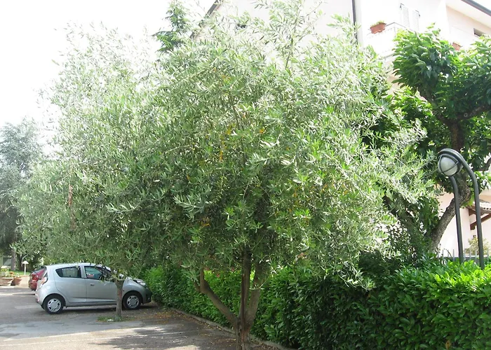 מלון Campiglione אסיסי